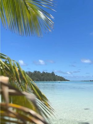 Across the ocean, your next adventure awaits. 🏝️ #tahiti #travel 