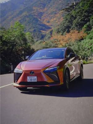 #TouchJapanJourney at Yakushima Your journey awaits, crafted by Lexus. #Lexus #DISCOVER #ExperienceAmazing #DiscoverLexus