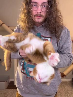 This was more or less an excuse to try out my meta glasses but watch me pick my cats nose #cat #catsoftiktok #orangecatbehavior #orangecat #funnycat 