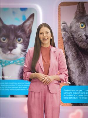 swiping left on drama. swiping right on cats with @arianamadix 😽 Adoptable cats from @Best Friends have officially taken over @Bumble, so you can swipe right on a real love connection. Plus, we’re covering adoption fees from 2/13-2/16* AND anyone who adopts a cat during the month of February will receive free litter (redeemable exclusively at @Walmart).** Get your toe beans ready! Date cats, not humans this Valentine’s Day 💘 #IsItCrazyorIsItLove #FreshStep *Up to $10,000 total adoption fee coverage.  **$20 digital coupon for any Fresh Step litter at Walmart or Walmart.com (https://www.walmart.com/). Limit 1 per household. Valid only for cats adopted through Best Friends Animal Society.