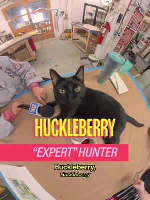 Meet Huckleberry & Gorilla in Red Hook 🐈🐈‍⬛  A show by Mad Realities Host: @MICHELLADONNA   Creative Producer/DP: Drew Rosenthal  Editor: Sean Fitzmaurice  Graphic Design: Alex Mi  AE: Ryan Novak  PA: Sidney Rothkin Associate Producer: Christian Wallace Shriver #cat #nyc #shopcats #brooklyn