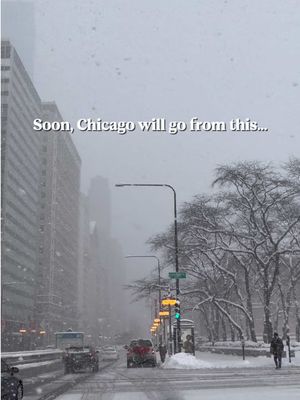 Soon, Chicago will go from this… to this. And we’ll pretend winter never happened. #chicagowinter #chicagosummer #chicagoexplore #windycity #chicagolife 