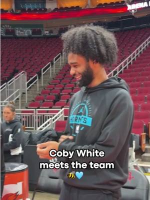 squad’s happy to have ya 🩵 #cobywhite #charlottehornets #NBA 
