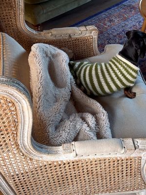Some peaceful winter moments…moonlit baths, evenings by the fire, creating when I feel inspired & endless walks with my best little pal… 🐾🌲🪵  #wintertime #moodboard #minidachshund #cottagecore #fyp 