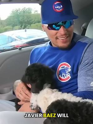 Why Javier Báez Is Out of the 2026 WBC #baseballmlb #wbc2026
