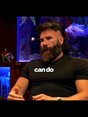 Get mentored by Dan Bilzerian. Link in bio.