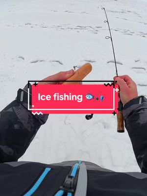 Ice Fishing with HOTDOGS 🐟🎣 #fishing 