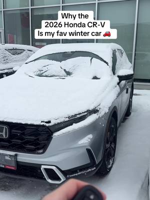 Salt. Slush. Snow. Gone. ⛄️