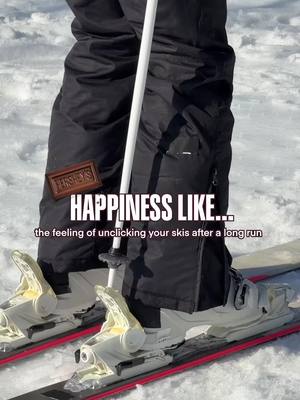 The feeling that still sends an excited chill down your spine 😍 #skiing #wintersports #happiness #asmr 