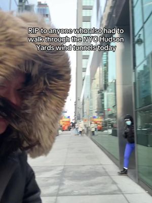50mph winds today in NYC 🫠 #nyc #nycwinter #polarvortex #nyclife #newyorkcity @Les 