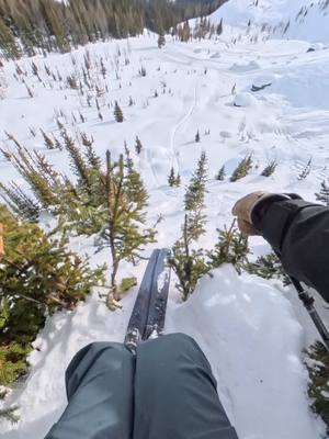 A lake Louise classic #ski #skiing 