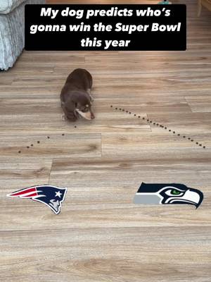😱 #SuperBowl 