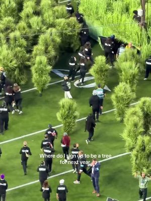 I’ve never been more jealous of a tree 