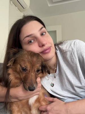 Ciro'nun hikayesi🐾