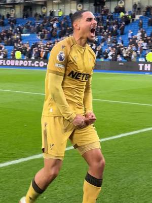 This is what passion looks like btw  #CrystalPalace #PremierLeague #CPFC #fyp #passion