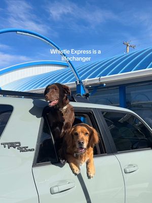 A very needed errand I’ve avoided too long 😅 @Whistle Express Car Wash is a car wash + self-vacuum station that’s so convenient for cleaning your car inside and out. They have new locations all over colorado! Truly a colorado dog owner’s dream! Download the Whistle Express app and apply code Colorado10 at checkout for any unlimited wash package and get your first month for just $10! #WhistleExpress #WhistleExpressPartner