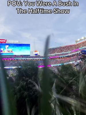 Benito’s bush #viral #SuperBowl #badbunny 