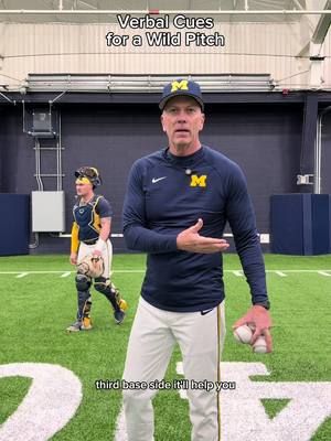 Pitcher threw a wild pitch?!  No problem … we got you. @David Lally Jr @Noah Miller  #pitcher #baseball #drills #michigan #practice 