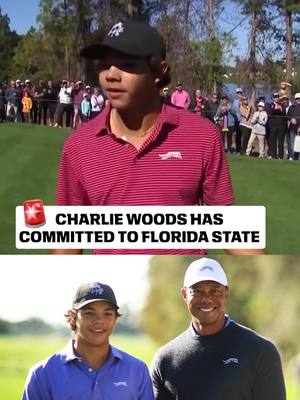 Charlie Woods has verbally committed to play golf at Florida State and will be a member of the 2027 recruiting class. He is the son of 15-time major champion Tiger Woods. (📺 Peacock, Golf Channel) #espnsocial #golf #tigerwoods #golftiktok #golftiktok 