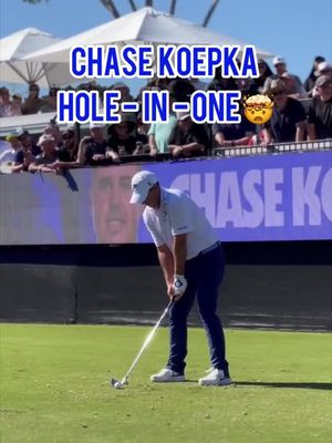 First ever Party Hole ace absolute CHAOS 🍻 #holeinone #golftok #fyp #livgolf 