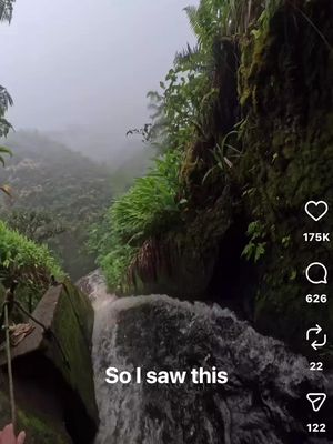 Jungle water slide straight out of a movie!