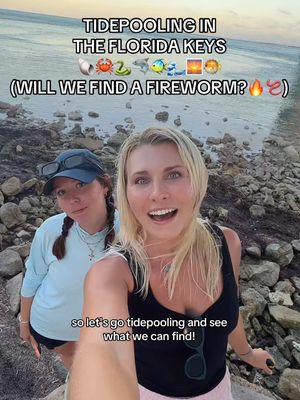 SO many AMAZING tidepool finds with @Arianna 𓆉 ❀ 𓇼 🫶🐚🏝️🦀🌊🏝️ So grateful to meet new ocean-loving friends🥹🫶🌊 Can’t wait for our next adventure!👀🦈🏝️ #tidepool #ocean #marinebiology #floridakeys #florida 