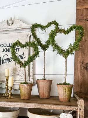 These moss heart topiaries are adorable, neutral, and incredibly easy to DIY. What you’ll need: 🤍 Sticks (cut to varying lengths) 💚 Flower pots or decorative containers 🤍 Grapevine heart wreaths 💚 Moss 🤍 Mod Podge 💚 Hot glue gun Start by cutting the sticks to staggered heights and hot-gluing the grapevine hearts to the top. Brush on a generous layer of Mod Podge, then press the moss onto each heart until fully covered. For the base, add floral foam to a pot and insert the stick. Place a few rocks inside for extra stability, then finish it off with a layer of moss on top. I absolutely love how these turned out—simple, neutral, and so charming. 🤍 #mosstopiary #valentinesdiy #englishcottage #diycrafts #amazonfinds