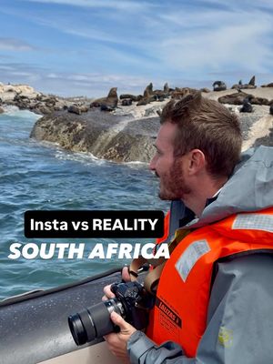 Now I remember why I don’t do tours 🤣🙈 📍 Seal Island, South Africa 🇿🇦  . . . #southafrica #instavsreality #seals