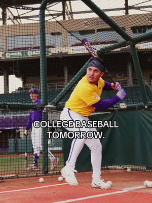 One more sleep….  #lsu #tigers #lsubaseball #collegebaseball #baseball 