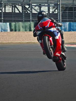 I'm a lover not a fighter - 🧿 #hondamotorcycles #cbr600rr #unstablesmp #wemmbu #unstableuniverse 