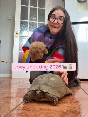 Replying to @sandra 🇪🇪 Joey coming out party 2027? 🐢 