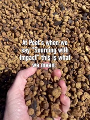 This is what Sourcing with Impact means to us at Peet’s.  Learn more at peets.com/pages/impact. 