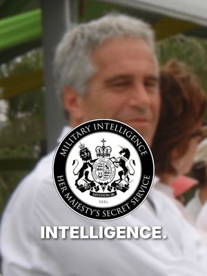 Jeffrey Epstein was not a genius, yet he was connected to everyone. What is that?