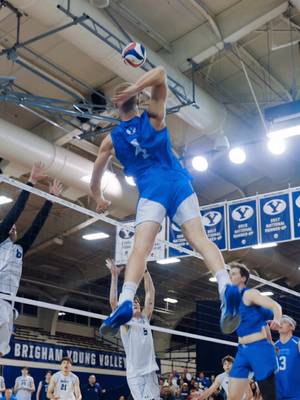 in case you didn’t know, Trevor can fly. 