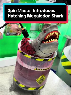 Last year @Spin Master introduced the Primal Hatch T-Rex at New York Toy Fair, now this year they’ve unveiled the hatching Megalodon Shark. #spinmaster #shark #toys #toyfair #nytoyfair 