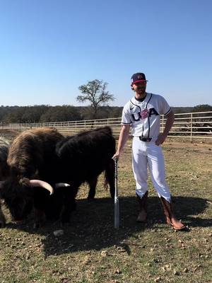 Bobby loves the cows #baseball #fyp #usa #viral #cows 