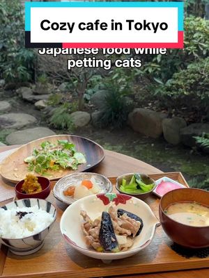 This actually isn’t a cat cafe, it’s a cozy cafe where the owners’ cats just happen to hang out. It’s located in a quiet residential neighborhood and it really felt like going back to my parents’ home. Every plate is made by the owner with so much love and care. She told me she genuinely loves seeing customers enjoy her food and smile It was quite busy, so if you’d like to sit outside, I’d recommend making a reservation in advance!  📍1 Chome-8-9 Nogata, Nakano City, Tokyo 165-0027 Closed: Monday, Tuesday, Wednesday, Sunday #japan #japanesefood #tokyo
