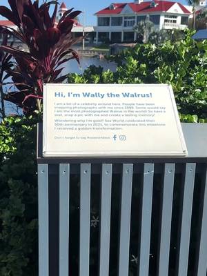 Where in the world is Wally!? Stay tuned, the iconic Walrus will return soon.