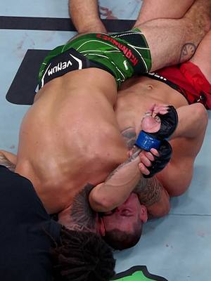 🐍 Una anaconda anda suelta en Houston!!! Anthony Hernandez 🇺🇸🇲🇽 estelariza #UFCHouston este 21 de Febrero.