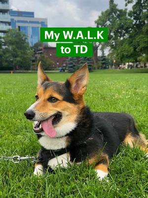 A good walk can make even the ruffest days feel nicer. Share this with  someone whose fur-baby needs to get their paws on the Automatic Treat Machine ASAP.