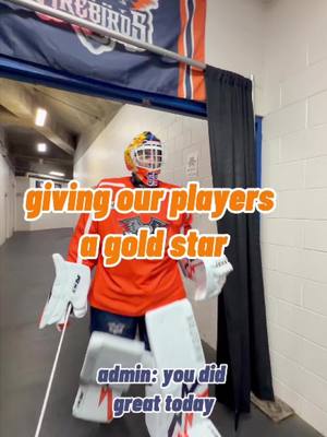 stellar job boys🤩 #flintfirebirds #ohl #hockey #goldstar 