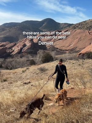 What’s your go-to hike in Denver right now? ⛰️🐾 Before we hit the trail, we always fuel up with ORIJEN™ — built on WholePrey Nutrition, with the first five ingredients being fresh and raw animal ingredients. @ORIJEN™ Pet Food  #ORIJENDog #ORIJENPartner #FueledbyORIJEN AD