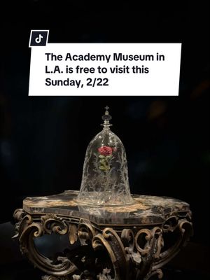 I know where I’m going this Sunday 😉 The Academy Museum is open from 10am - 6pm daily & closed on Tuesdays.  #losangeles #academymuseumofmotionpictures #freethingstodo #exhibit 