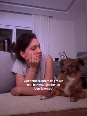Kismetse olur izliyoruz
