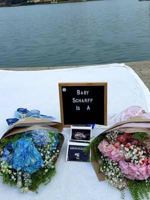 Our baby is a… #genderreveal 