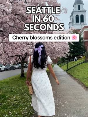 Welcome back to Seattle in 60 seconds - cherry blossom edition! Cherry blossom season is just a few weeks away, and today I'm sharing where you can find the cherry blossoms in the Greater Seattle-Bellevue-Tacoma area. As your Seattle girly guide, I love checking out all the beautiful places in the PNW with blooming flowers. And we are so lucky we get to experience cherry blossom season in the Pacific Northwest! Kobe Terrace in Seattle's Chinatown-International District 650 South Main St, Seattle, WA 98104 Bellevue Downtown Park in Downtown Bellevue 10201 NE 4th St, Bellevue, WA 98004 Wapato Hills Park in Tacoma 6231 S Wapato St, Tacoma, WA 98409 Seward Park in Seattle - I recommend checking out the Ferdinand Street Boat Launch for this specific Seattle cherry blossom location. 5900 Lake Washington Blvd S, Seattle, WA 98118 In Seattle's Capitol Hill neighborhood, the Immaculate Conception Church also has a street lined with cherry blossoms. University of Washington - the Quad 1410 NE Campus Pkwy, Seattle, WA 98195 What other beautiful cherry blossom locations in Seattle or outside of Seattle do you recommend checking out? #cherryblossom #cherryblossomsafterwinter #seattle #pnwlife #cherryblossoms 