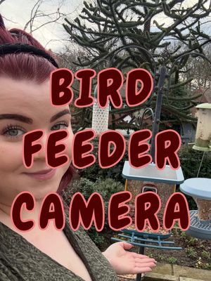 My mum loves her new bird feeder! Link on my Amazon store! 🥰🥰 #birdfeedercamera 