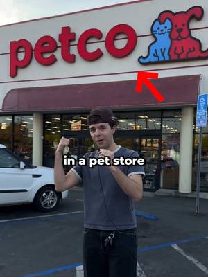 What’s the cheapest thing in a pet store? 🐶✨ | @JT #jtcasey #petstore 
