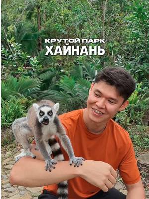 Такой вот парк, где густые джунгли, кайфующие капибары и стеклянная платформа встречаются в одном месте 🔥 Если окажешься на Хайнане, выдели день на парк Янода 🙃 📍Yanoda Rainforest Cultural Tourism Zone Билеты можно бронировать в приложении @trip 📱 Сохрани, чтобы не забыть, и отправь тому, с кем хочешь почесать капибар 🫳🏼 ——— #китай #хайнань #янода #путешествие #тревел      