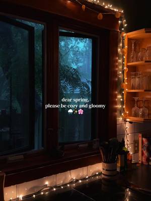 Pretty, pretty please? 🥲✨🌸🌧️ I won’t lie, these sunny skies and 50-70 degree temperatures recently have been lovely after winter’s chill, but my soul is craving rainy days with spring flowers and green, lush foliage. 🌳 Though the warmer months can be a struggle for me and my summer depression, the rainstorms we get in spring and summer are absolutely elite! What about you? Do you want a sunny spring or cozy, rainy one? 🌧️🌸✨ #pluviophile #rainyweather #springvibes #springseason #cozyliving 